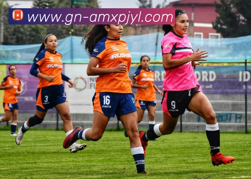 新葡京娱乐APP 封面图